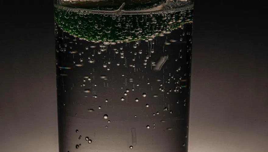 中年人的快樂水！無害又能戒手搖飲　只有腸胃差不能暢飲
