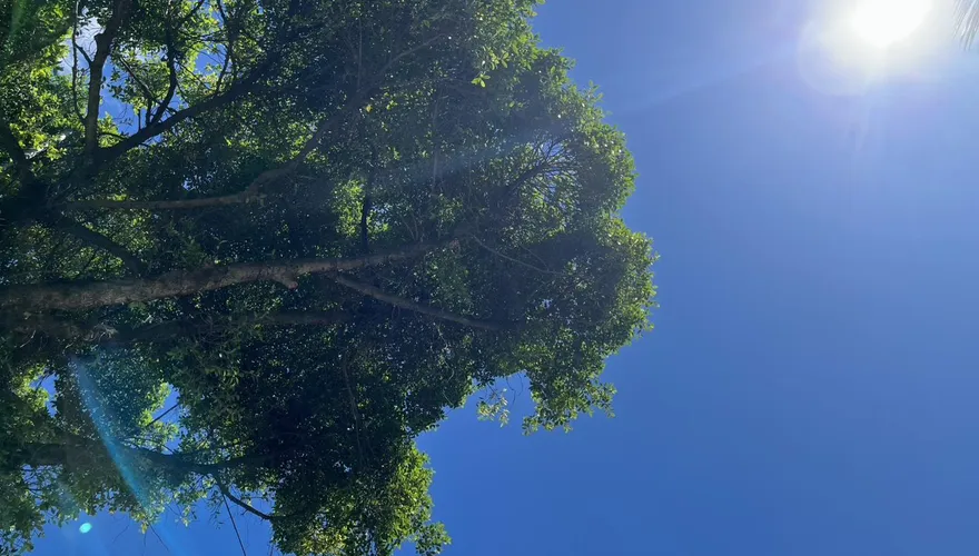 白沙屯媽祖進香最新天氣預報！中南部飆30度多補水防曬