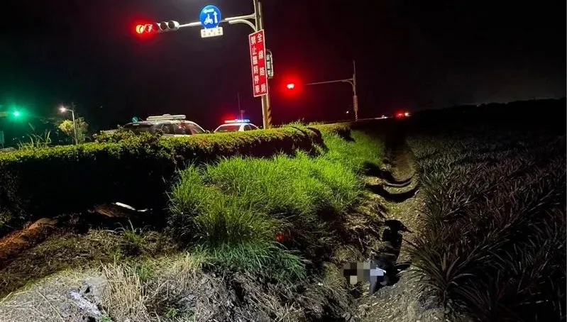 枋寮戰備跑道又寬又筆直　少年酒駕「高速衝入」鳳梨田