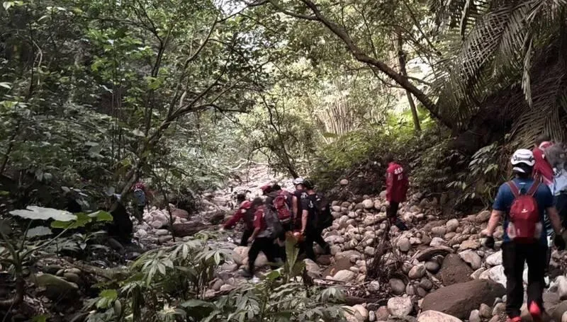 南投東照山傳山難！59歲男獨攀墜10米深谷　脊椎重傷送醫