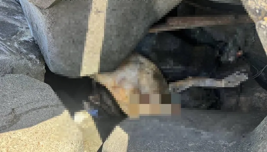 彰濱消波塊尋獲男屍　警方將透過DNA比對清查身分