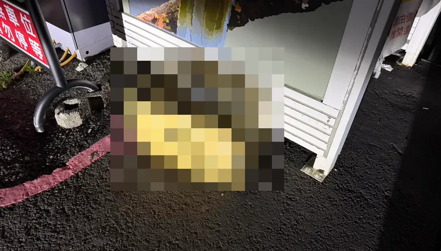 武嶺淪棄屍場！紙箱藏狗屍飄惡臭　太管處將開罰緝兇