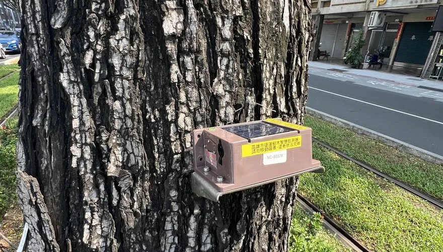 備戰強颱樺加沙！　高雄輕軌設AI監測路樹災情