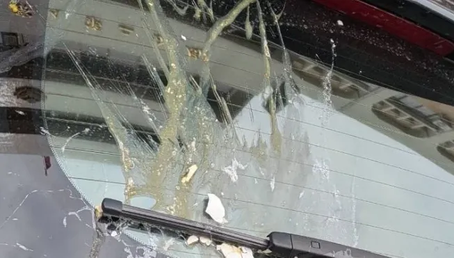 台南計程車司機無故遭騎士蛋洗　警：最高罰3.6萬