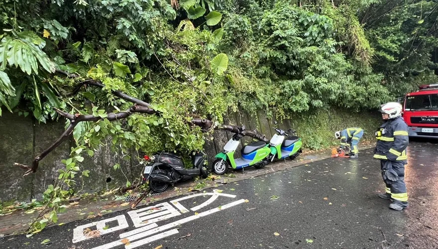 樺加沙豪雨襲北市　信義區路樹倒砸3機車