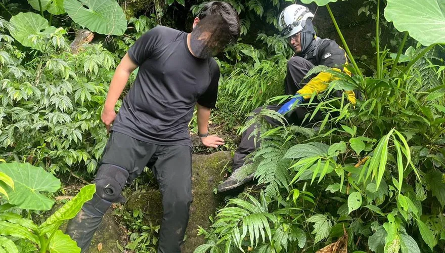影/台師大學生慘遭虎頭蜂群圍攻！2人緊急送醫