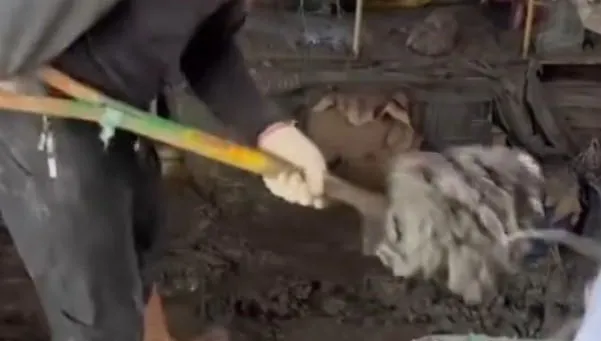 影/花蓮光復災區出現「獨臂超人」　熟練鏟土畫面感動全網