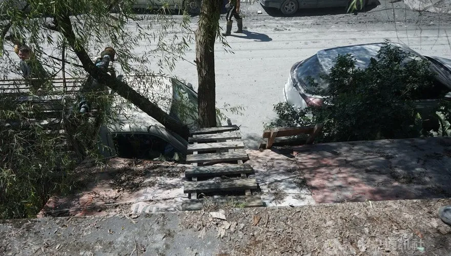 採龍眼留下的木梯救了22命　光復屋主超意外
