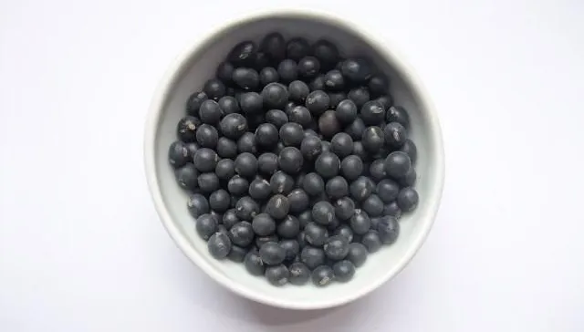 黑豆漿取代部分肉類？實驗驗證：不只補蛋白還能養好菌