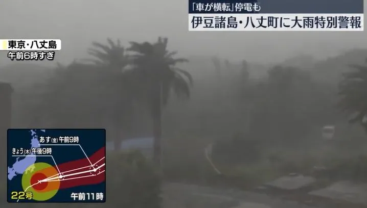 颱風哈隆強襲日本八丈島　強風暴雨造成樹倒路斷、多處停電