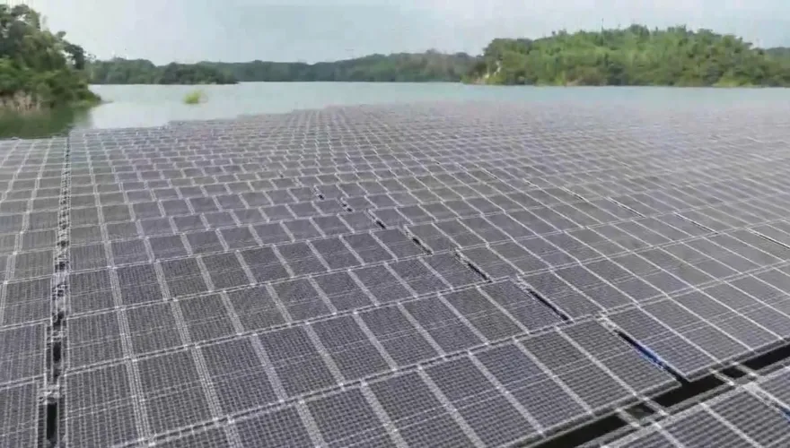 立院通過光電三法　業者憂變「慘業」掀倒閉潮：至少倒一半