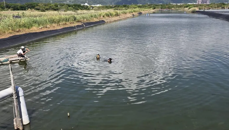 幫親戚捕魚失聯！宜蘭7旬翁跌落魚塭　救起成冰冷遺體