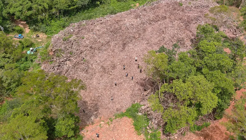 苗栗山坡地遭濫倒1.3萬噸廢棄樹枝　檢起訴12人求重判