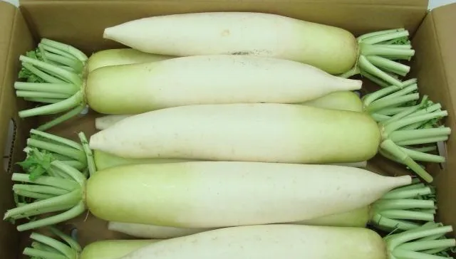 「蘿蔔葉」營養完勝白蘿蔔！維生素A含量高2300倍