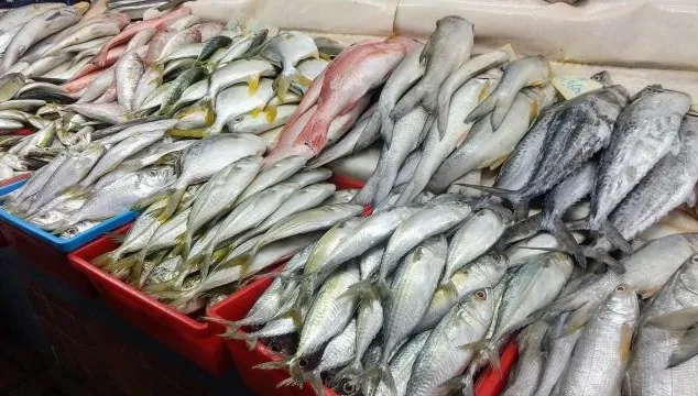 吃對「Omega-3油性魚」抗發炎！鮭魚、秋刀魚上榜