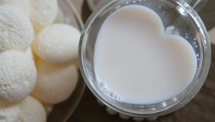 乳鐵蛋白新研究！不只提升免疫力　更是骨質疏鬆防治關鍵