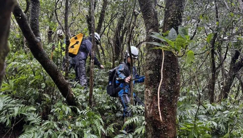 新北翁獨攀宜蘭叢雲山失聯7天　家屬懸賞50萬急尋