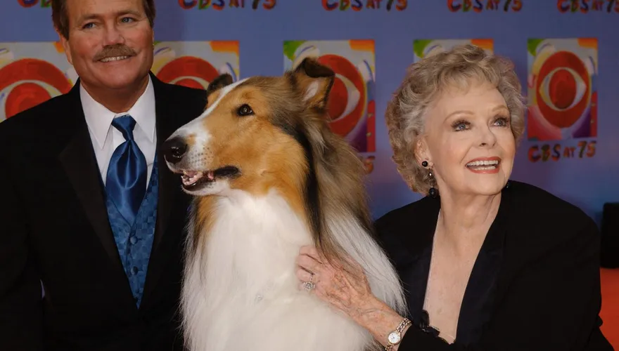 《靈犬萊西》「最暖媽媽」瓊洛克哈特辭世　享嵩壽100歲
