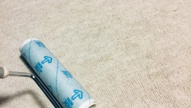 婦檢查地板十幾次非單純潔癖！醫：是強迫症的典型表現