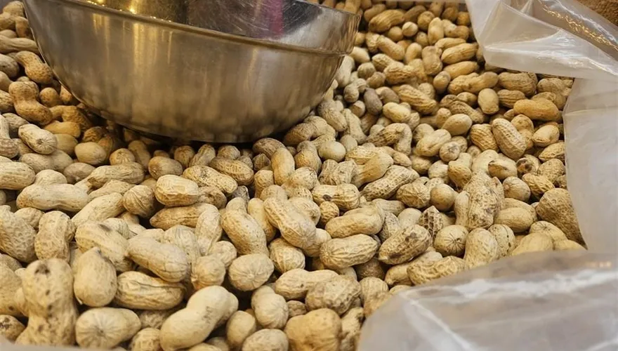 防黃麴毒素致癌　食藥署訂花生脫殼業者衛生管理指引