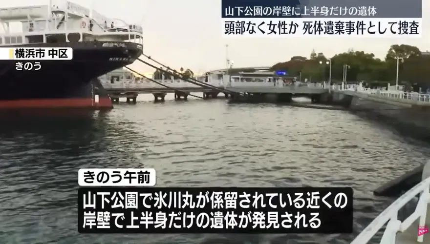 影/不是萬聖節！橫濱公園驚見人體碎片　離世數月死因不明