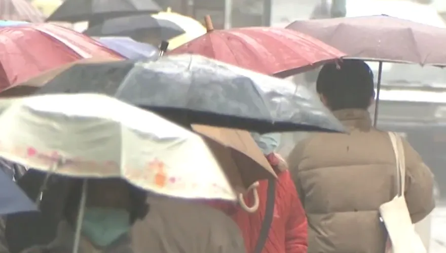 上班注意！苗栗、花蓮大雨特報　山區慎防坍方及落石