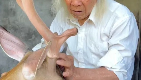 陸最孤獨動物園！8旬園長一人經營半甲子　網友「雲門票」支持