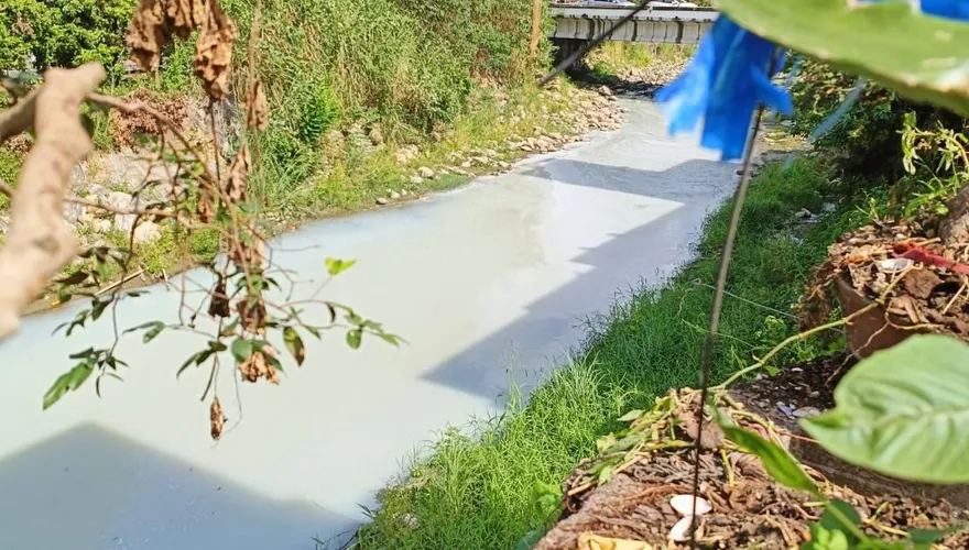 南投溪流一夜變「牛奶河」！白濁飄異味　環保局緊急追查