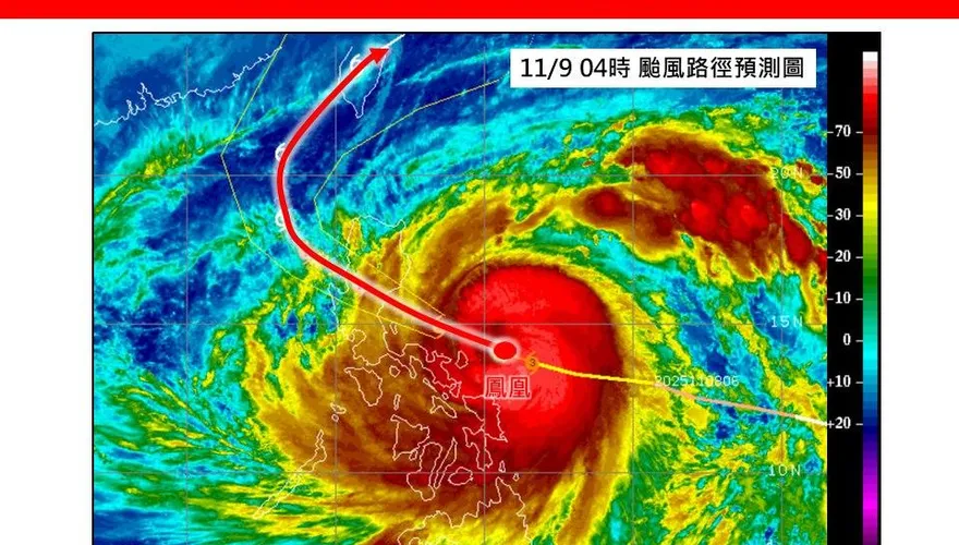 勇敢的鳳凰決定硬幹！　氣象專家：恐像山陀兒死在台灣