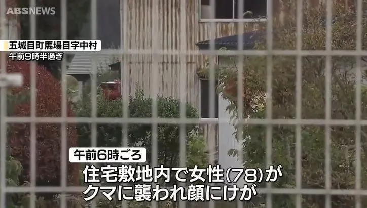 一開門就遇到熊！日秋田縣一天內傳多起熊襲事件　3人受傷送醫