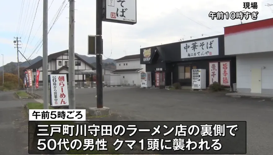 日拉麵店員遭熊襲「怒甩回去」成功趕跑熊　滿身血竟繼續工作