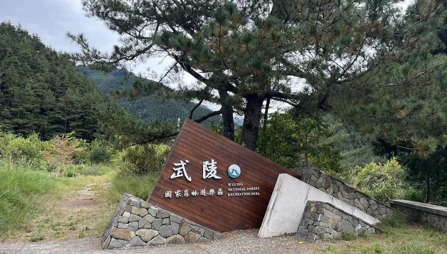 「鳳凰」來襲別進山！中南部5處森林遊樂區明休園、步道封閉