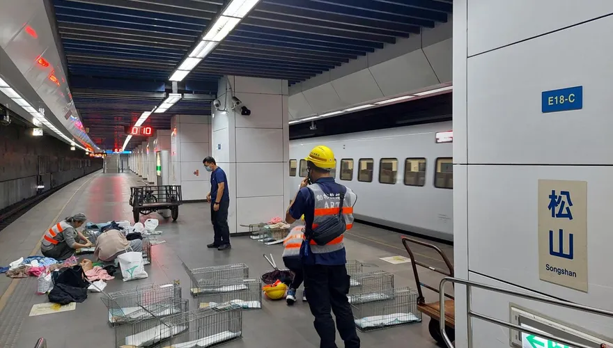 寵物貓受驚誤闖松車軌道！北市動保處連夜救援仍無蹤影