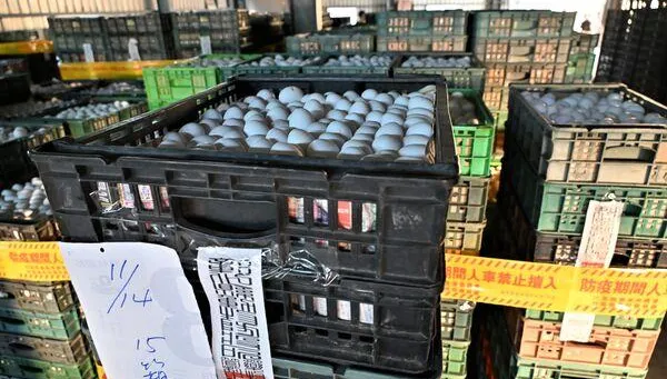 毒雞蛋擴散至新北市「已賣出4600顆」  民眾恐吃下肚！
