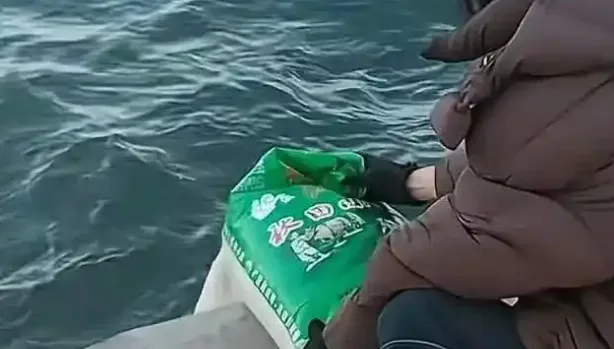 多袋米倒入海！陸老人「放生大米」邊唸唸有詞　網批：浪費糧食