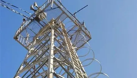 影/苗栗12米高「電信鐵塔」5千元競標！　警：可以拿來當聖誕樹