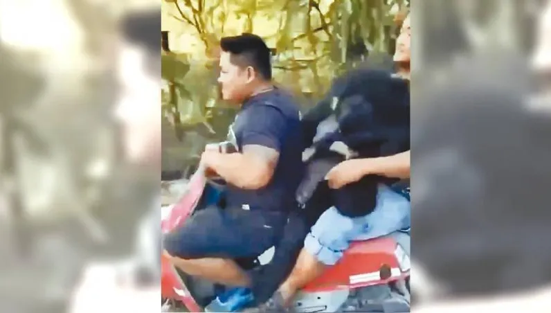 屏東9獵人槍殺4黑熊！一審全判無罪