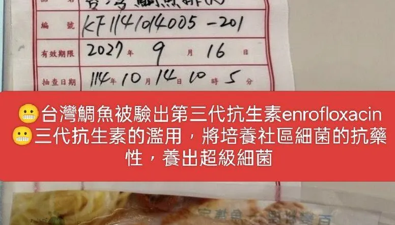 台灣鯛魚排驗出禁藥「恐養出超級細菌」　漁業署推測環境汙染所致
