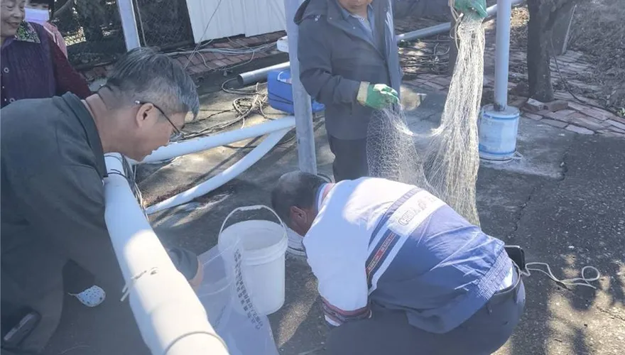 高雄衛生局鯛魚排禁藥烏龍蝴蝶效應　雲林漁民：快被害死要求償！
