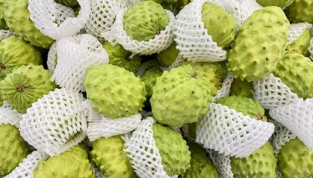 鳳梨釋迦營養價值驚人！膳食纖維是蘋果2倍「鎂含量高7倍」