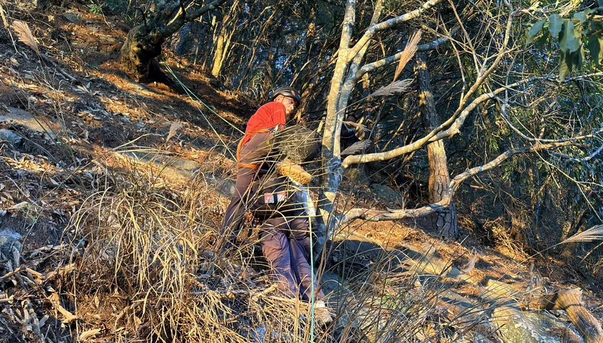 影/4人攀東卯山抄捷徑釀禍　69歲婦墜落30米骨折幸獲救