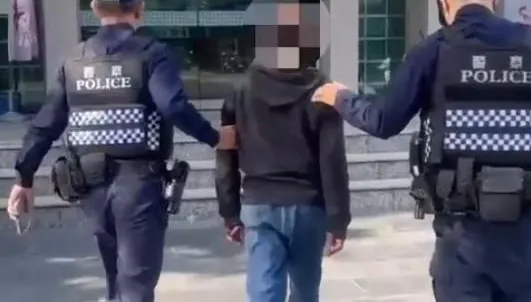 影/高雄醉男廟會襲警！脫球鞋狠砸所長