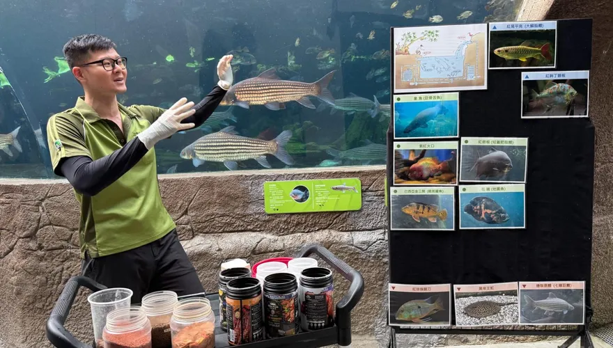 台北市立動物園「鱻食堂」開張！　穿山甲館水下餵食秀超壯觀