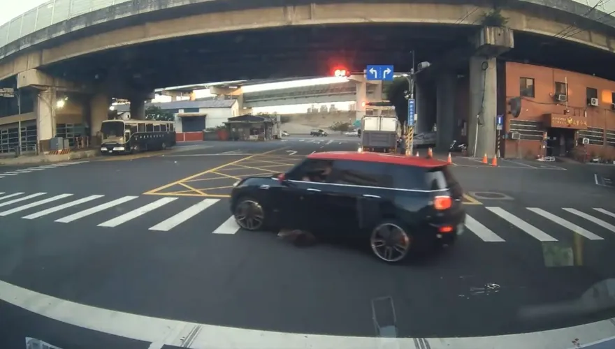 太夭壽！新北惡駕駛輾小狗「車底滾一圈」　心碎畫面曝