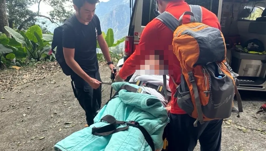 馬崙新山步道登山客遭虎頭蜂攻擊　2人遭螫1人送醫