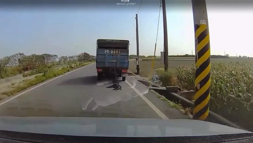 影/以為是黑網！雲林產業道路見狗遭拖行　熱心駕駛追車提醒