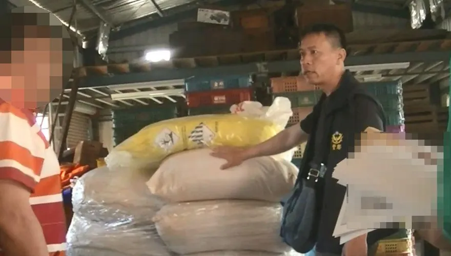 狡猾山老鼠盜肖楠木「製香粉海削百萬」　查扣456公斤贓物