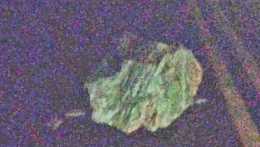 宜蘭外海7.0強震震撼全台！蘇花公路多處落石封閉