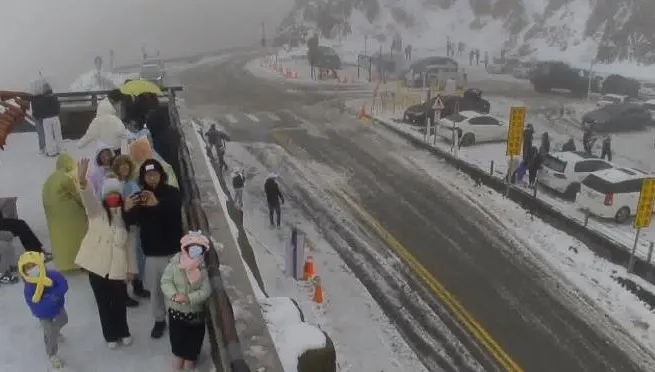 路面結冰恐打滑！台14甲線武嶺至松雪樓12/28下午5時起雙向封閉