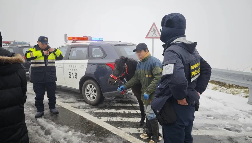 影/「黑馬王子」武嶺上山追雪！涉違道交條例先遭警開罰單